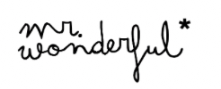 logo Mr Wonderful